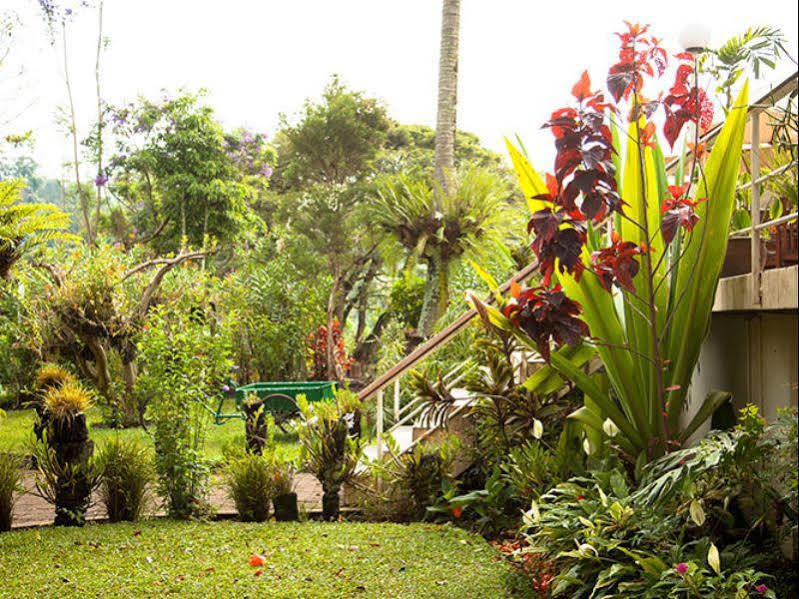 Bird Of Paradise Hotel Goroka Exterior foto